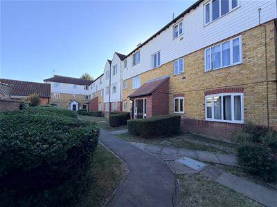 Picture 10